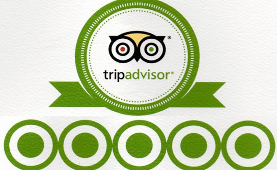 tripadvisor